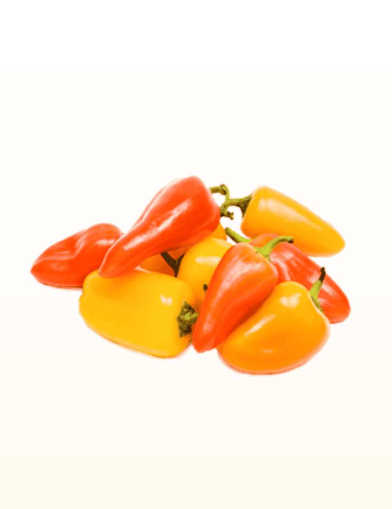 Mini Poivrons Colorés